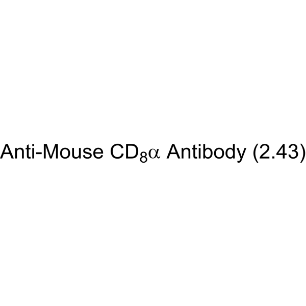 Anti-Mouse CD8α Antibody (2.43)