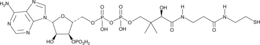 Coenzyme A Chemical Structure
