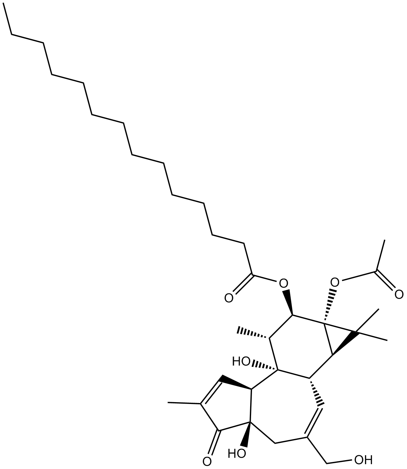 12-O-tetradecanoyl phorbol-13-acetate