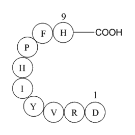 Angiotensin 1/2 (1-9) Chemical Structure