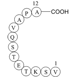 Rhodopsin peptide Chemical Structure