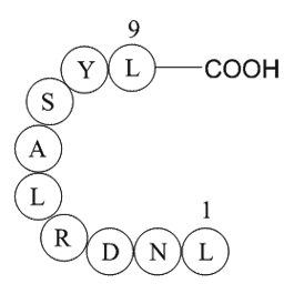 type I hair keratin fragment [Homo sapiens]/[Ovis aries]/[Rattus norvegicus] Chemical Structure