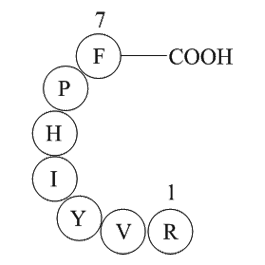 Angiotensin III (human, mouse) Chemical Structure