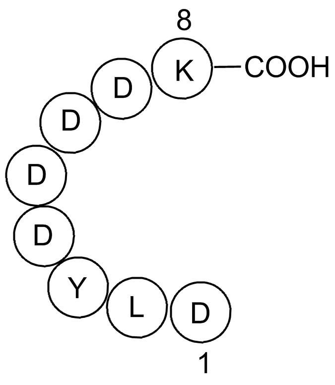 X-press Tag Peptide Chemical Structure